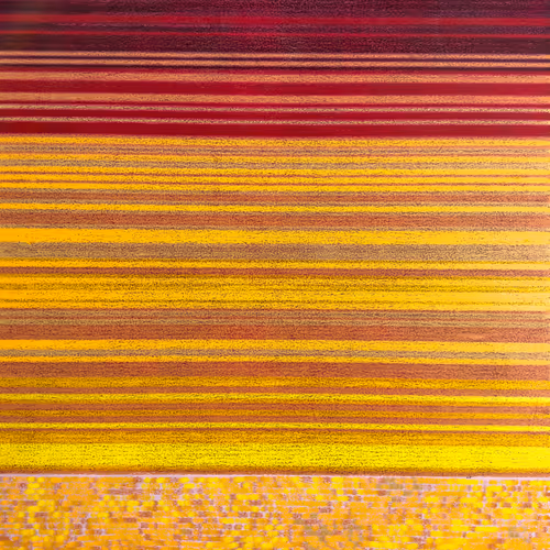 Echoes Of The Sun S Descent