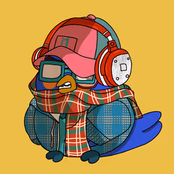 29