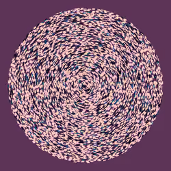 Chaotic Circles #47