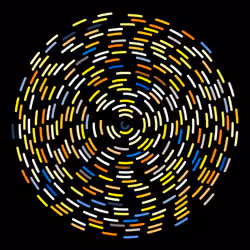 Chaotic Circles #304