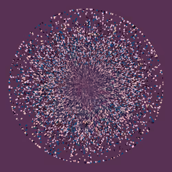Chaotic Circles #896