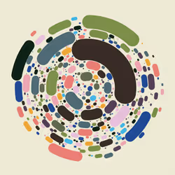 Chaotic Circles #685
