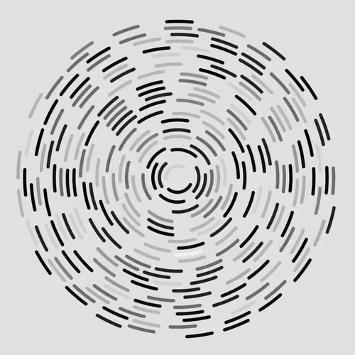 Chaotic Circles By Yury