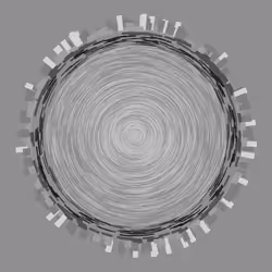 Chaotic Circles #528