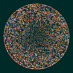 Chaotic Circles #75