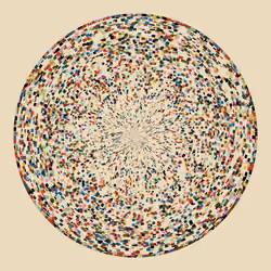 Chaotic Circles #675
