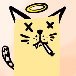 House Cat #255
