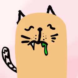 House Cat #3973