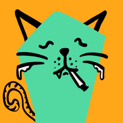 House Cat #1334