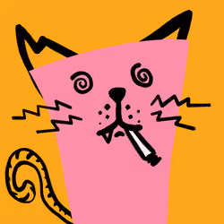 House Cat #2326