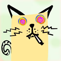 House Cat #3970