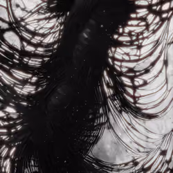 Visions of Birth #47