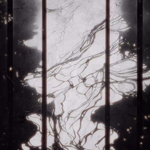 Visions Of Birth