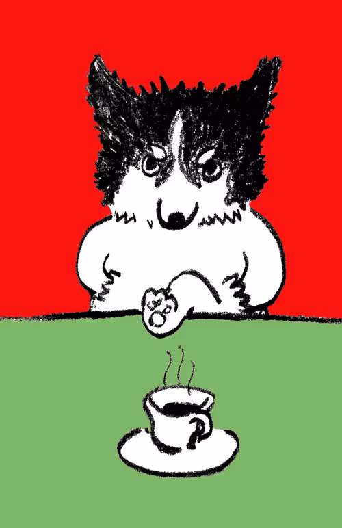 Item #241460872326424442681370475951846040990 Media