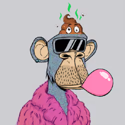 Bored Ape Shit Head #206
