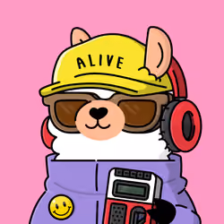 Alpaca Chills #002