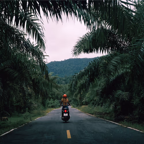 Earth on Film