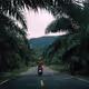 Earth on Film