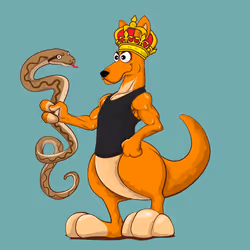 1242