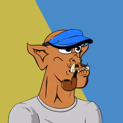 504