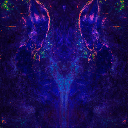 Rorschach #313