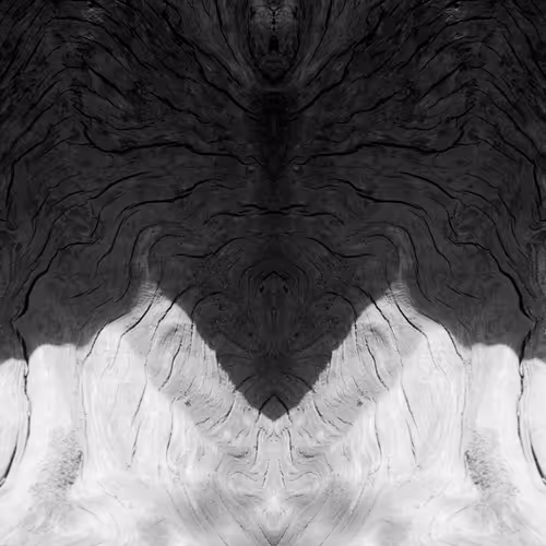 Rorschach #193