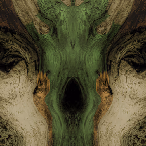 Rorschach #344