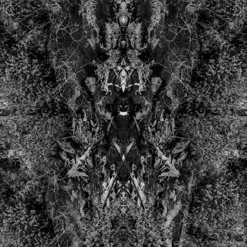 Rorschach #58