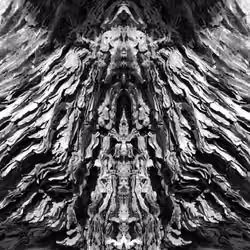 Rorschach #217