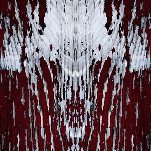 Rorschach #235