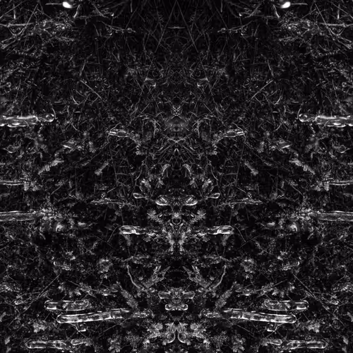 Rorschach #62