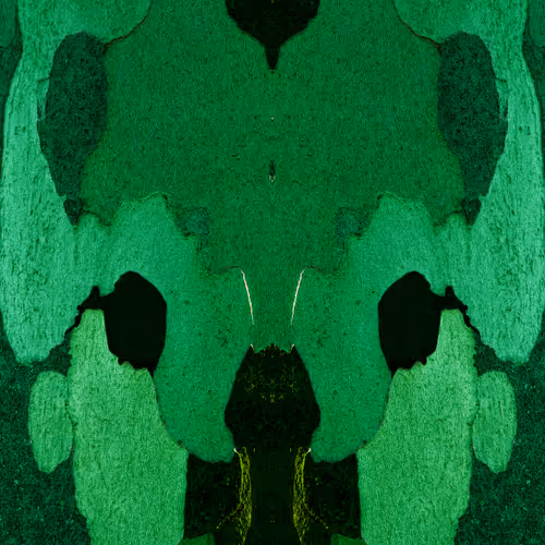 Therorschachs