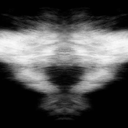 Rorschach #21