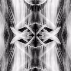 Rorschach #48