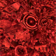 123
