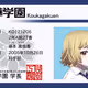 204