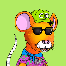 Crypto Rats