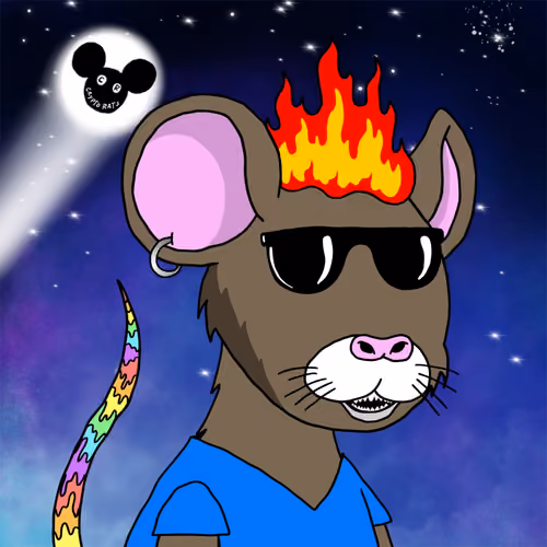Crypto Rats