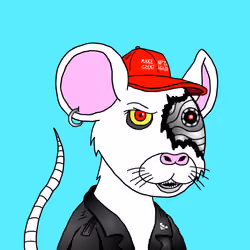 Crypto Rats