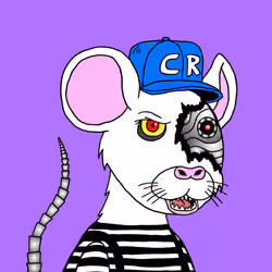 Crypto Rats