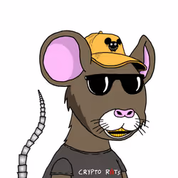 Crypto Rats