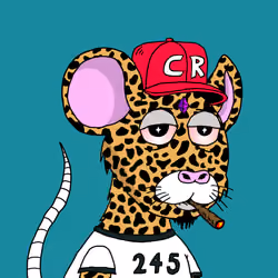 Crypto Rats