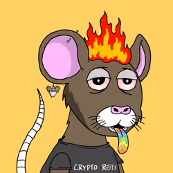Crypto Rats