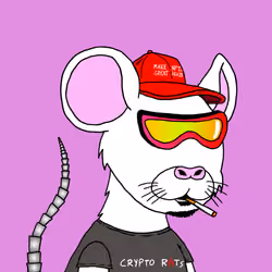 Crypto Rats