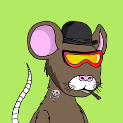 Crypto Rats