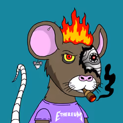 Crypto Rats