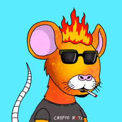 Crypto Rats