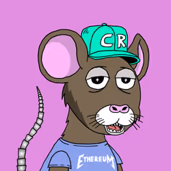Crypto Rats