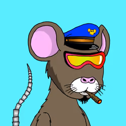 Crypto Rats