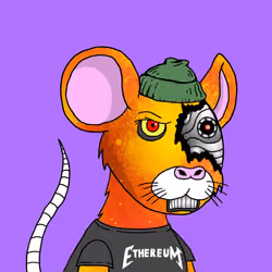Crypto Rats
